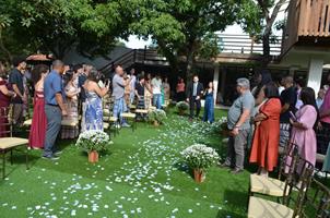 Plantas: imagem 3 de 15